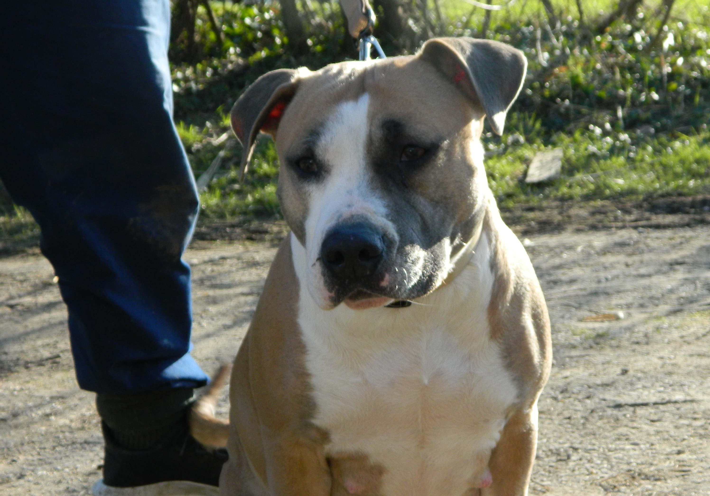 Mademoiselle nala de la Terre d'Ovalie
